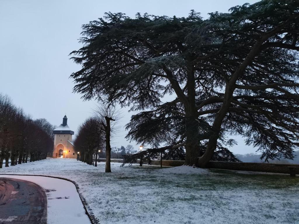 Cosy T1 ! Proche Commerces Et Axes Routiers Chateau-Renault Exterior photo